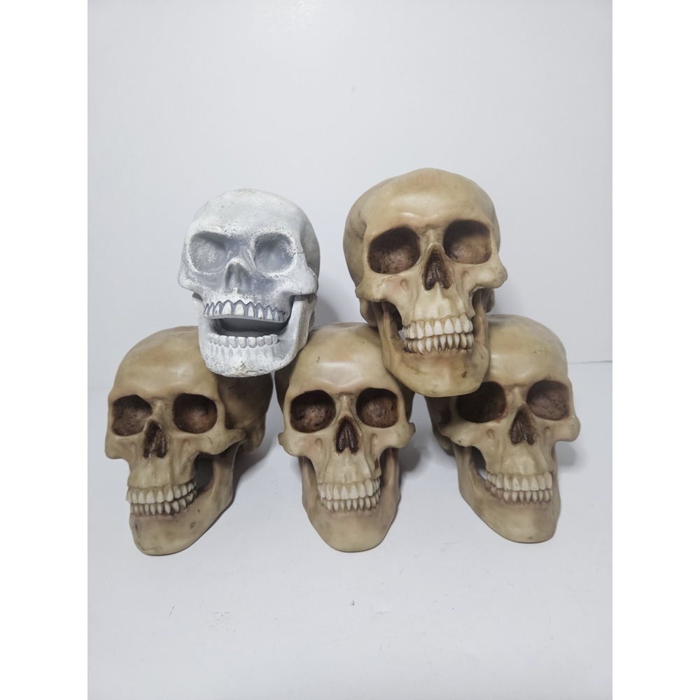Halloween Realistic Resin Skull Prop Lot 5 Plastic Moving Jaw Skeleton Decor